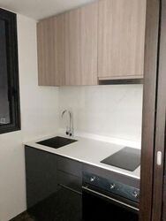 Botanique At Bartley (D19), Condominium #484960411
